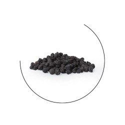 Ceci neri di Leonforte