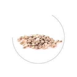 Cicerchia di Leonforte