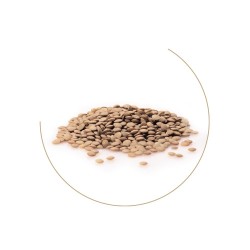 Lenticchia Bianca di Leonforte