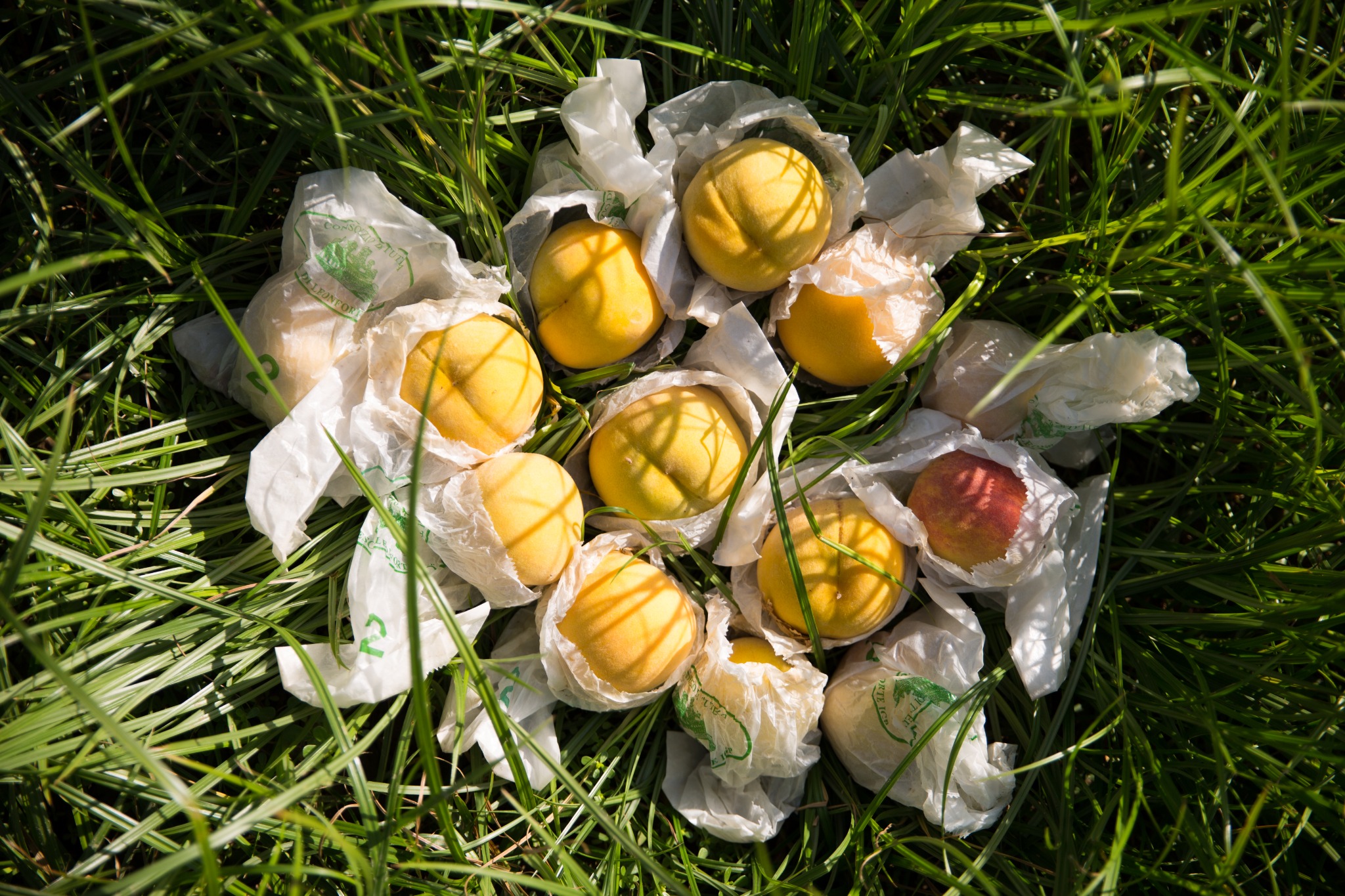 Pesche di Leonforte